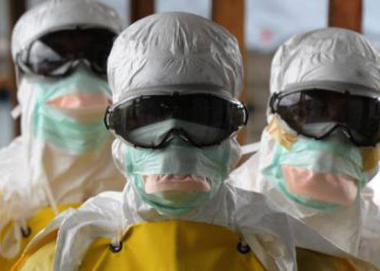 इबोला का नया विषाणु मिला, कितना घातक ये पता नहीं