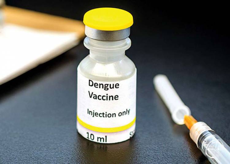 डेंगू वायरस पर खत्‍म होता जा रहा है टीकों का प्रभाव