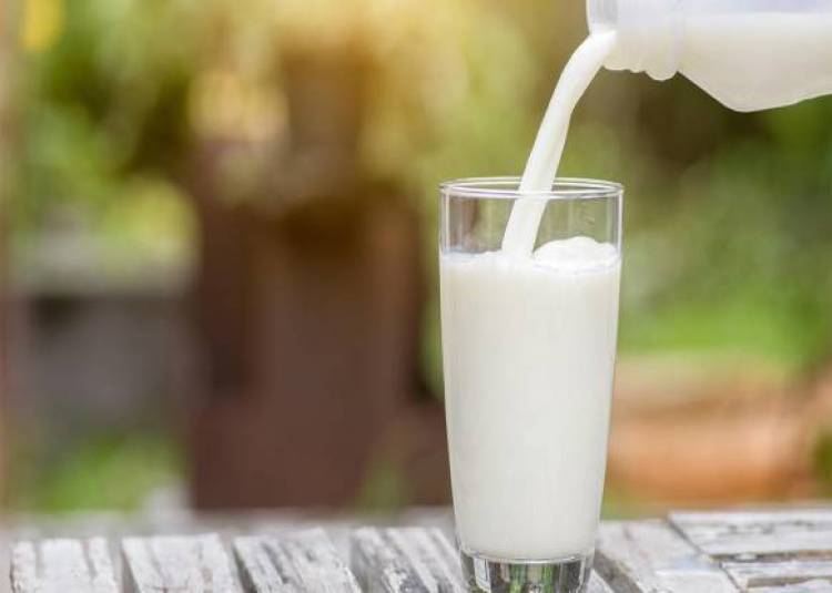 कई फायदों के साथ नुकसानदायक भी हो सकता है दूध