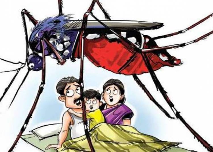पश्चिम बंगाल कर रहा है डेंगू से त्राहिमाम, 25 मरे