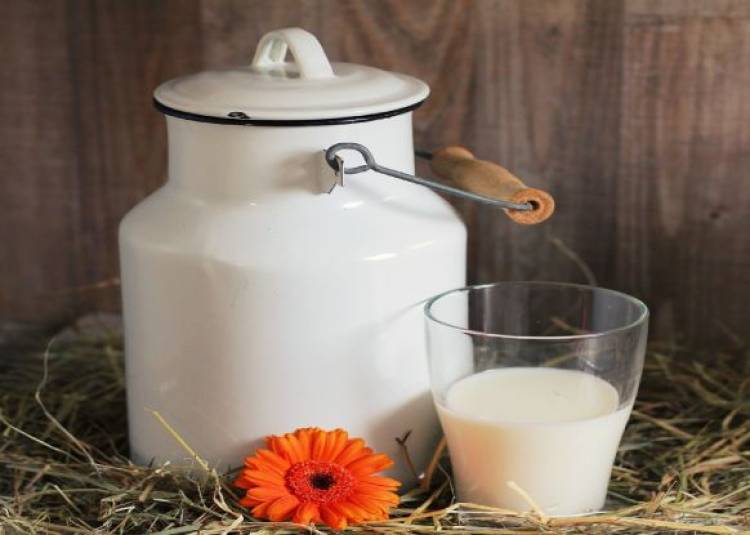 National Milk Day 2019: 1 गिलास दूध पीने की आदत बीमारी से बचने की पहली सीढ़ी है