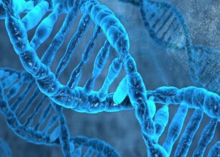जीन्स के बदलाव और जंक डीएनए करते हैं कैंसर को प्रभावित :स्टडी
