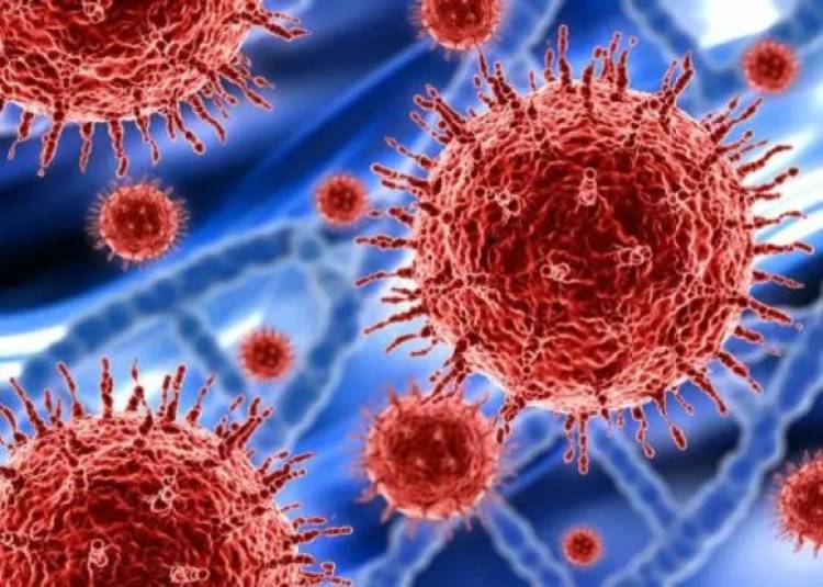 जानलेवा कोरोना वायरस का बढ़ा प्रकोप, WHO ने जारी किया अलर्ट, ऐसे करें बचाव