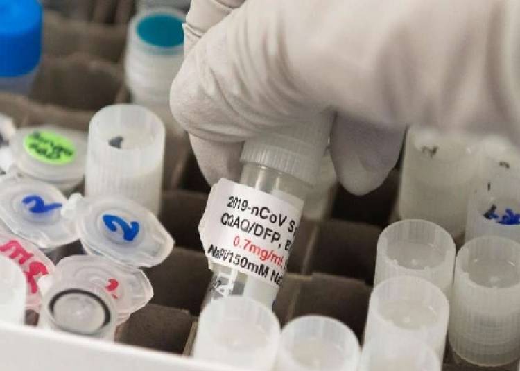 जल्द ही शुरु हो सकता है कोरोना वैक्सीन का मानव परीक्षण: वैज्ञानिकों ने कहा