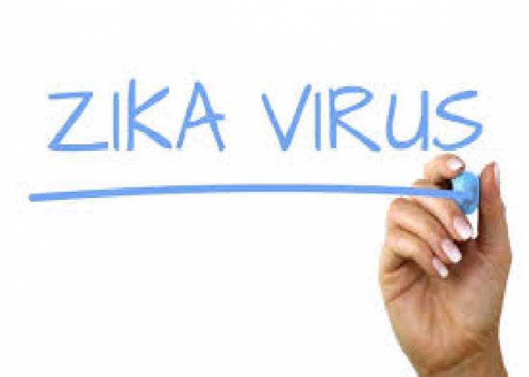 जीका वायरस से बचाएगा ये इलाज, जानें लक्षण और बचने का तरीका