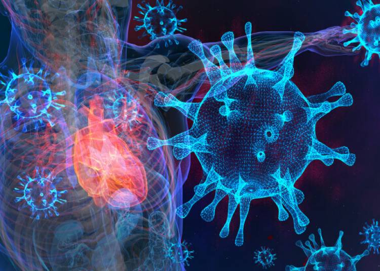 दिल की कोशिकाओं को भी प्रभावित करता है कोरोना वायरस, जानें क्या है सच