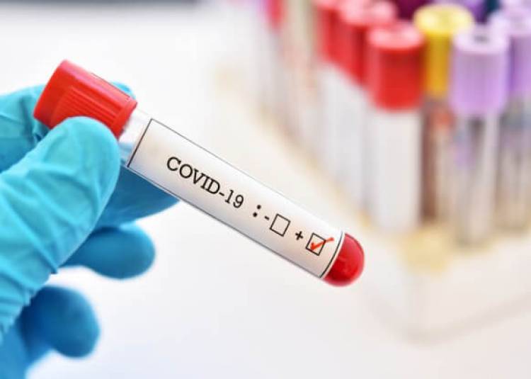 Coronavirus Latest Update: जानिए भारत का आंकड़ा कितना पहुंचा, कितनी मौतें हुईं