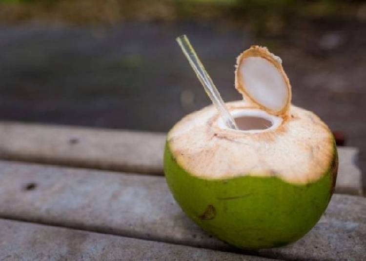 नारियल पानी से सेहत को होते हैं ये 5 फायदे, जानें कब और कितना पिएं