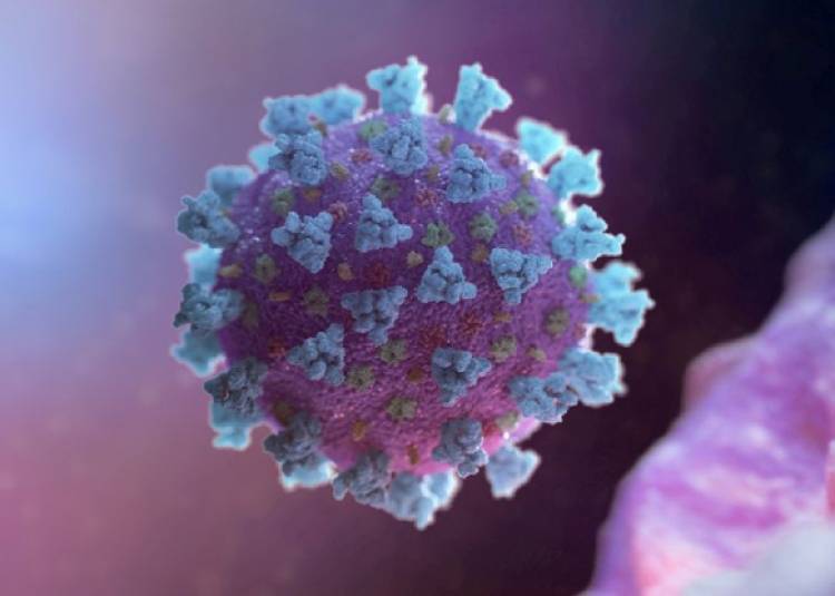 वैज्ञानिकों का दावा- सीजनल फ्लू की तरह हो जाएगा कोरोना वायरस