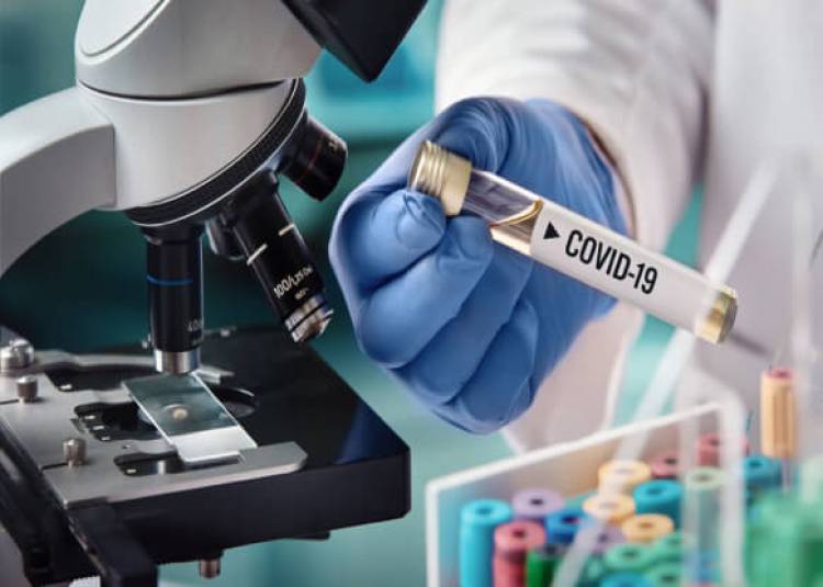 ICMR ने तैयार की खास एंटी-सीरम, कोरोना के इलाज में होगी मददगार