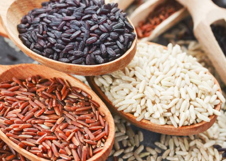 सेहत के लिए कौन से चावल बढ़िया होते हैं? लाल, काले या सफेद