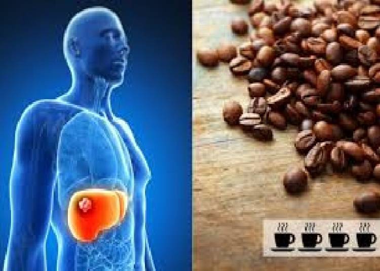 कॉफी पीने से हो सकता है लिवर कैंसर का खतरा कम: शोध