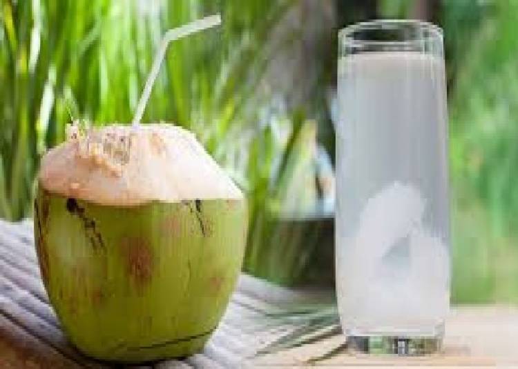 सेहत के लिए गुणकारी है नारियल पानी, खाली पेट पीना अधिक लाभकारी