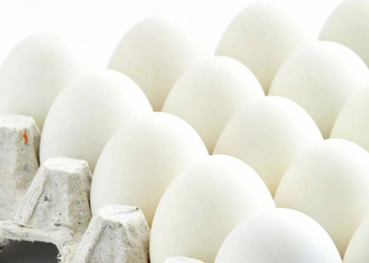 रोजाना अंडे खाइए और तनावमुक्त रहिए, जानें क्या कहता है रिसर्च