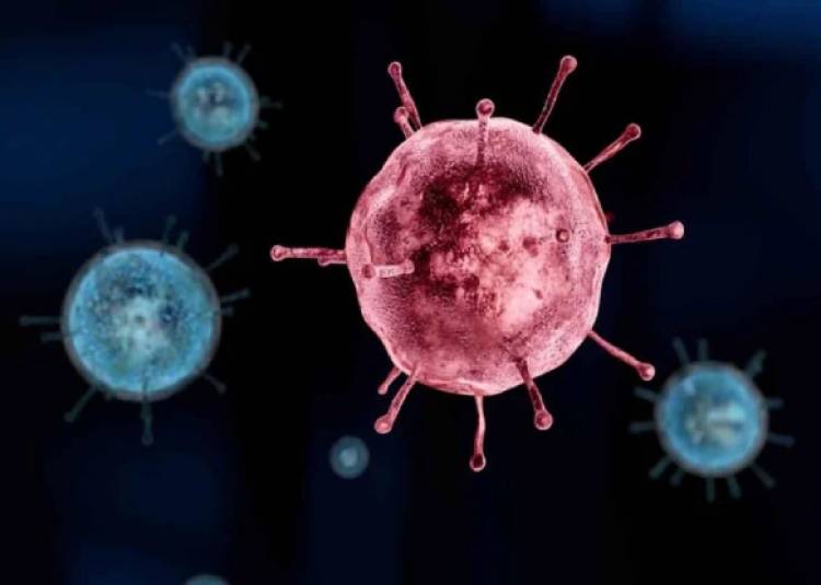 देश में 7684 तरह के कोरोना वायरस, दक्षिणी राज्यों में सबसे ज्यादा: शोध में दावा