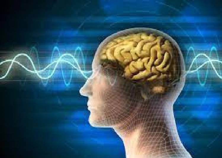 वैज्ञानिकों ने बनाया नया ब्रेन सेंसर, मस्तिष्क की कई बीमारियों को समझने में मिलेगी मदद 