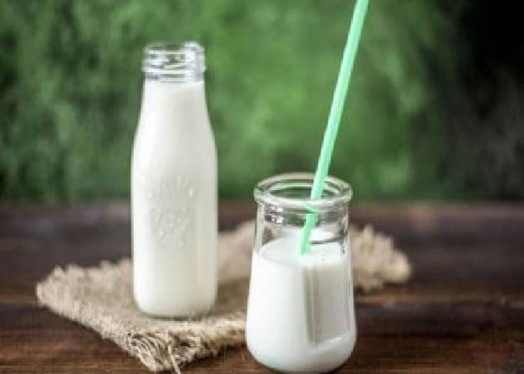 भूलकर भी दूध के साथ ना खाएं ये चीजें, सेहत को हो सकता है भारी नुकसान