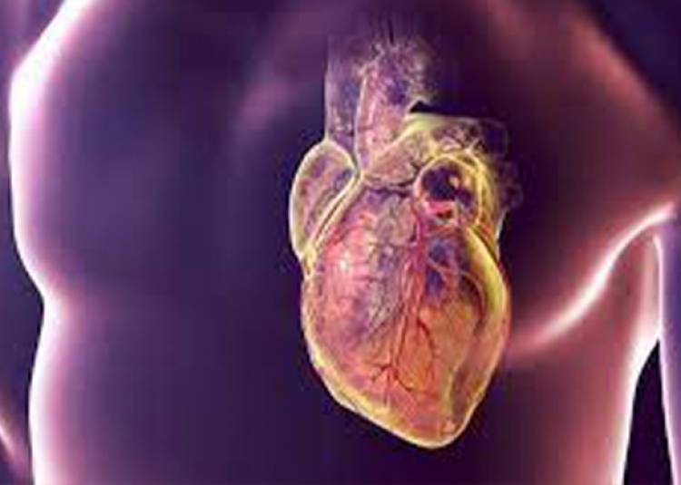 हृदय रोगियों को है कोरोना से ज्यादा खतरा, जानें कैसे पहचानें और कैसे करें अपनी सुरक्षा